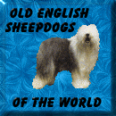 Click here to join The OESW

Ring