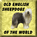 Click here to join The OESW Ring
