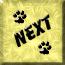 Next OESW Ring Site