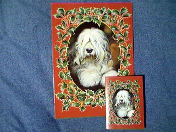 XmasOtterHse