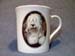 OtterHseMug
