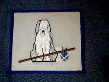 EmbPatchRescue