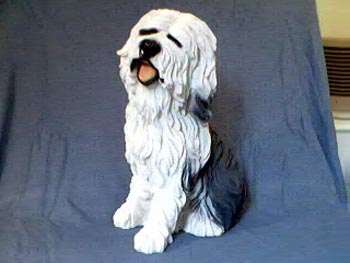 AcademyOES